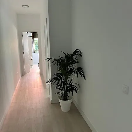 Апартаменты Tantulia Callao 57 Aptartamento 5hab Centro De La Capital En Tenerife *